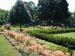 09gn-steppingstone-garden1